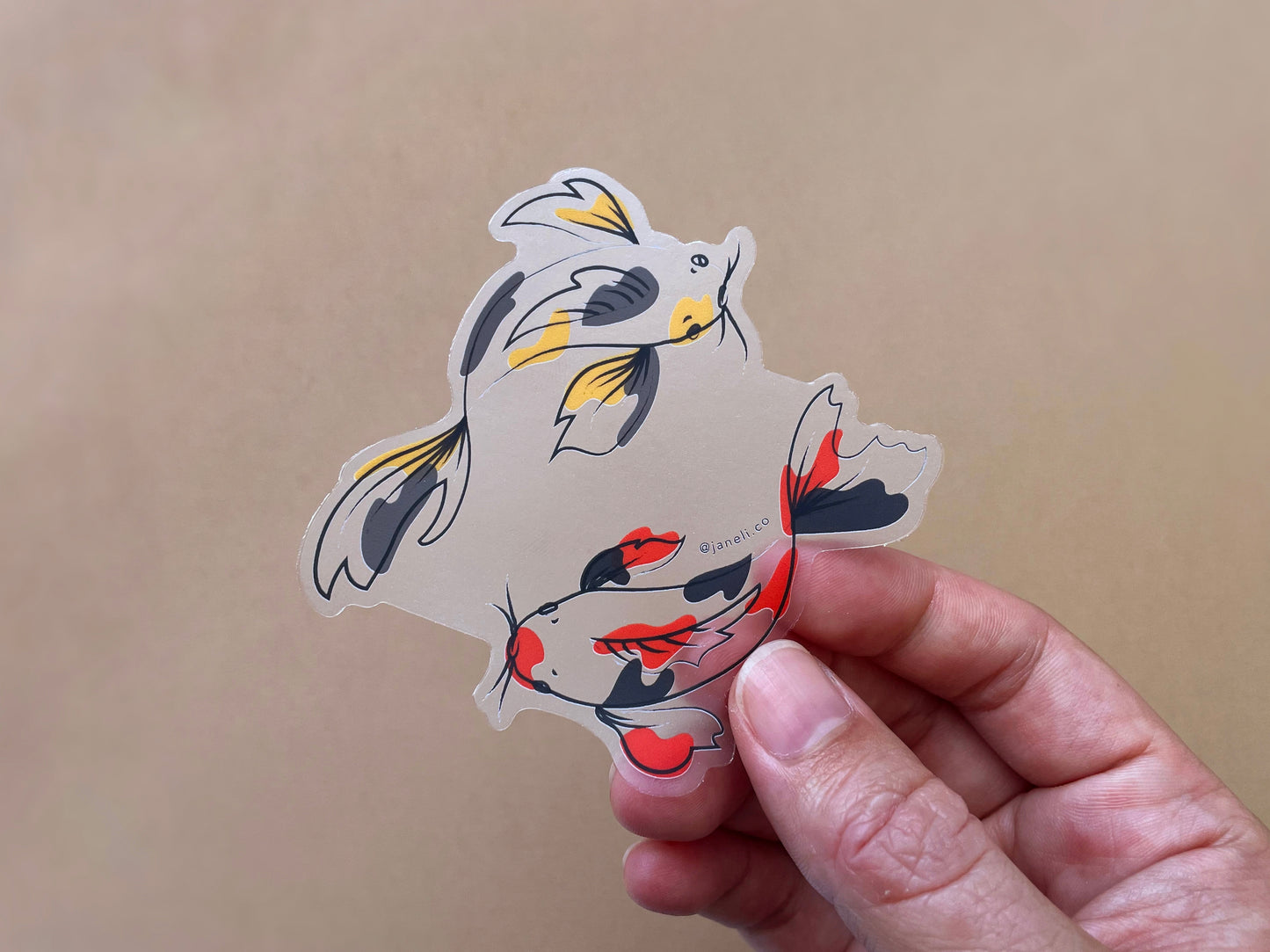A hand holding a clear JaneLi.Co sticker of a gold and grey koi fish and a scarlet and black koi fish swimming in a circle over a tan background.