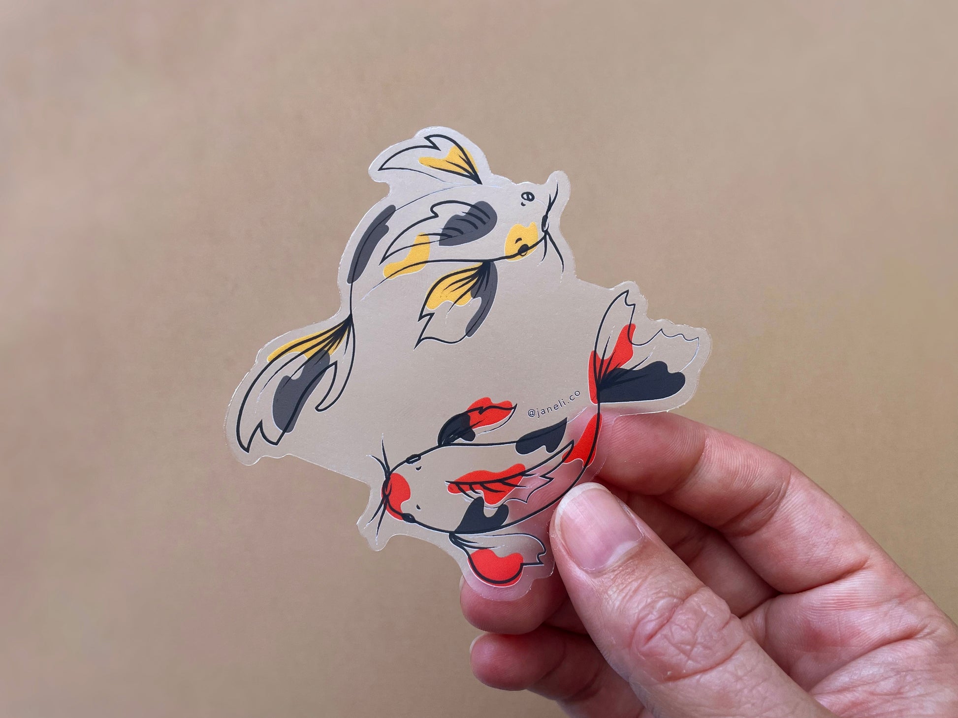 A hand holding a clear JaneLi.Co sticker of a gold and grey koi fish and a scarlet and black koi fish swimming in a circle over a tan background. 