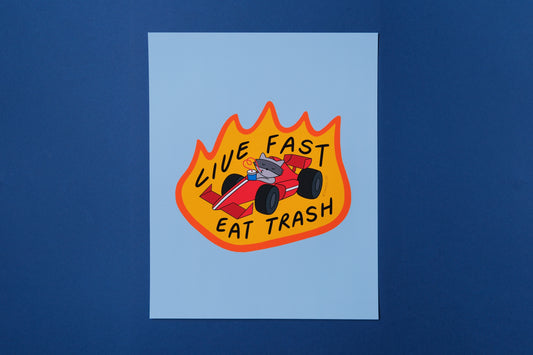 A JaneLi.Co print of a racoon driving a racecar while sipping a soda that says "Live Fast Eat Trash" over a blue background.