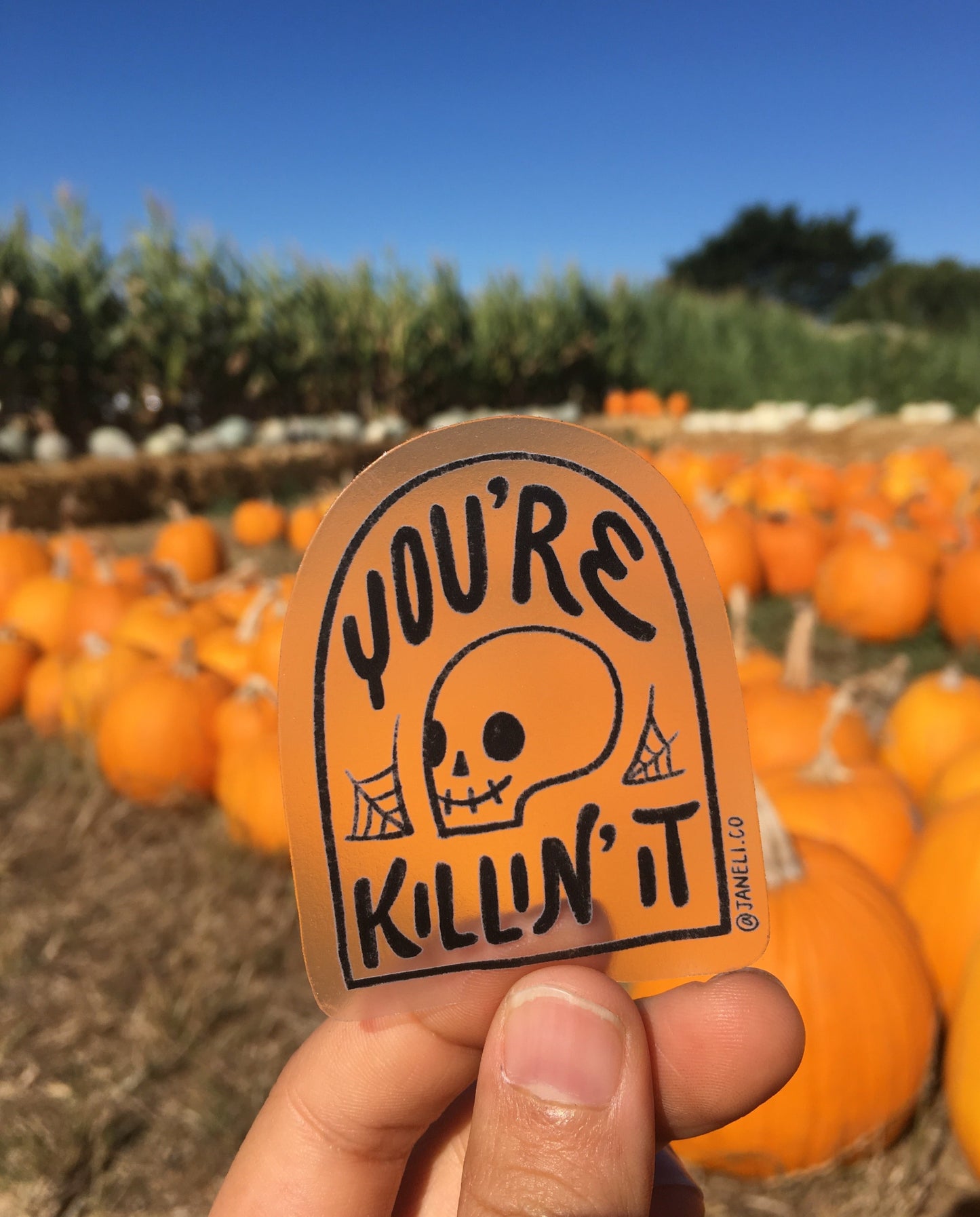 A hand holding a clear JaneLi.Co sticker that says "You're Killin' It" in the shape of a tombstone with a skull in it in front of a pumpkin patch.
