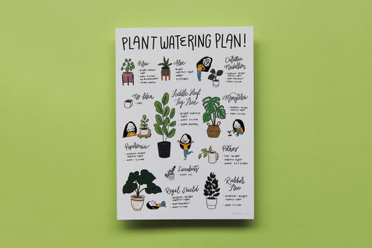 A JaneLi.Co print that says "Plant Watering Plan!" with illustrations and care instructions for 11 popular houseplants over a brown background.