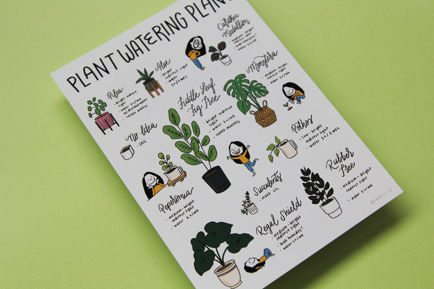 A close up of a JaneLi.Co print that says "Plant Watering Plan!" with illustrations and care instructions for 11 popular houseplants over a brown background.